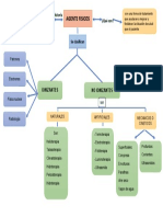 Modalidades Fisicas