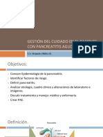 Gestión Del Cuidado en El Paciente Con Pancreatitis