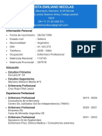 CV Profesional