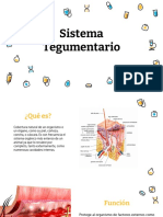 Sistema Tegumentario 2