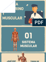 Sistema Endocrino y Muscular 2