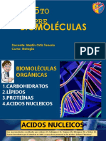 Acidos Nucleicos