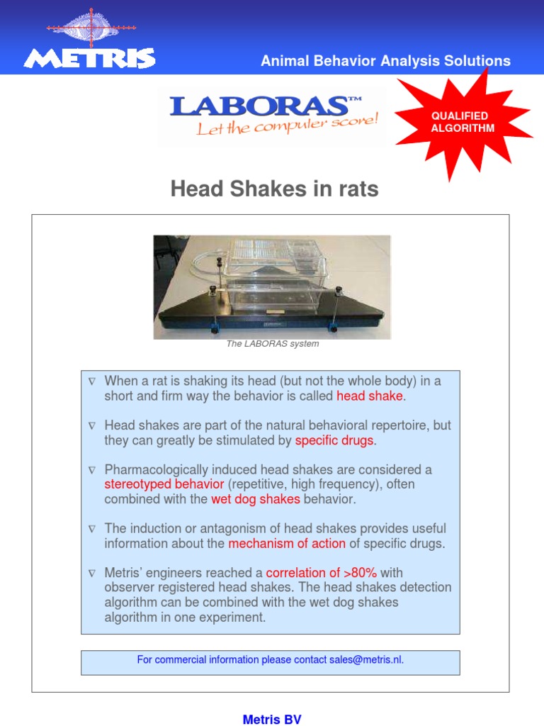 Head Shakes definition Neuropsychological Assessment Neuropsychology