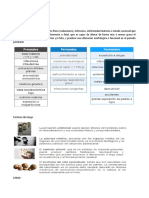 Apuntes Neuroanatomia 2do Corte