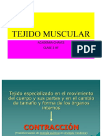 6 Tejido Muscular