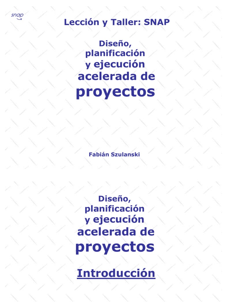 Snap | PDF | Planificación | Diseño