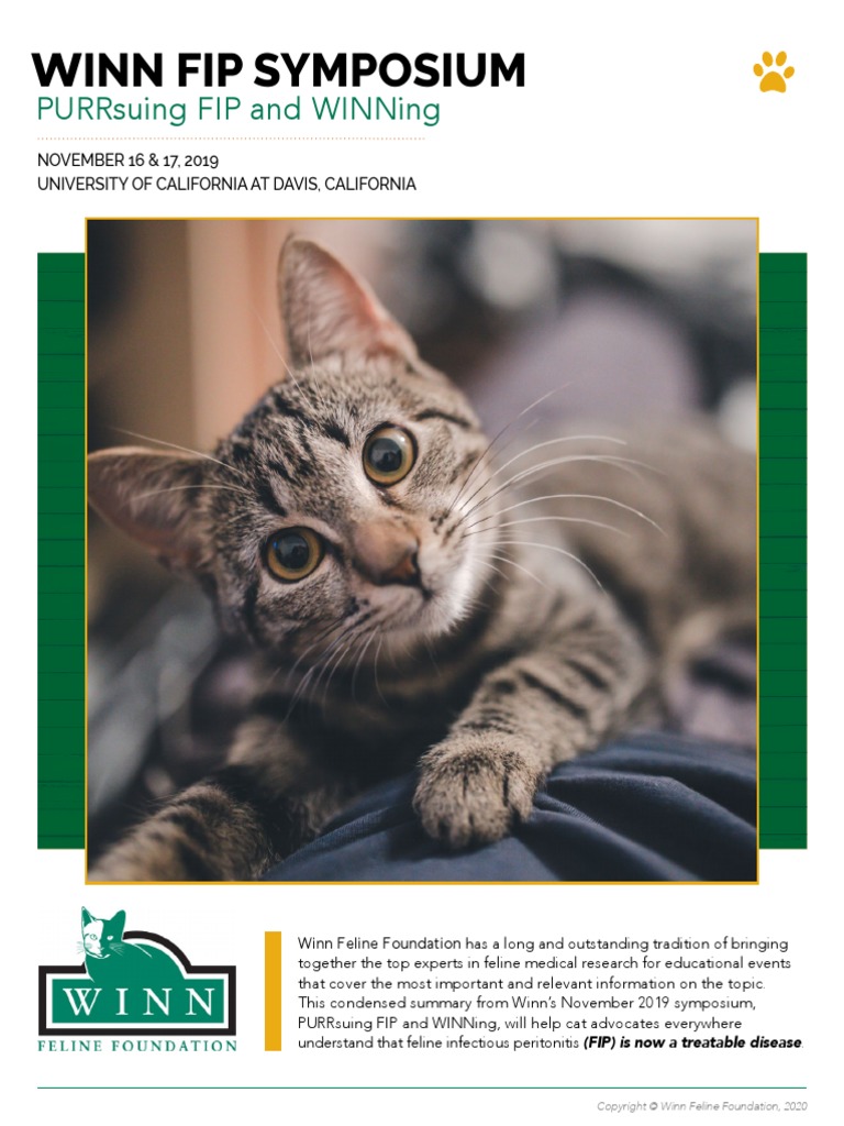 FIP Summary | PDF | Immunity (Medical) | Immune System