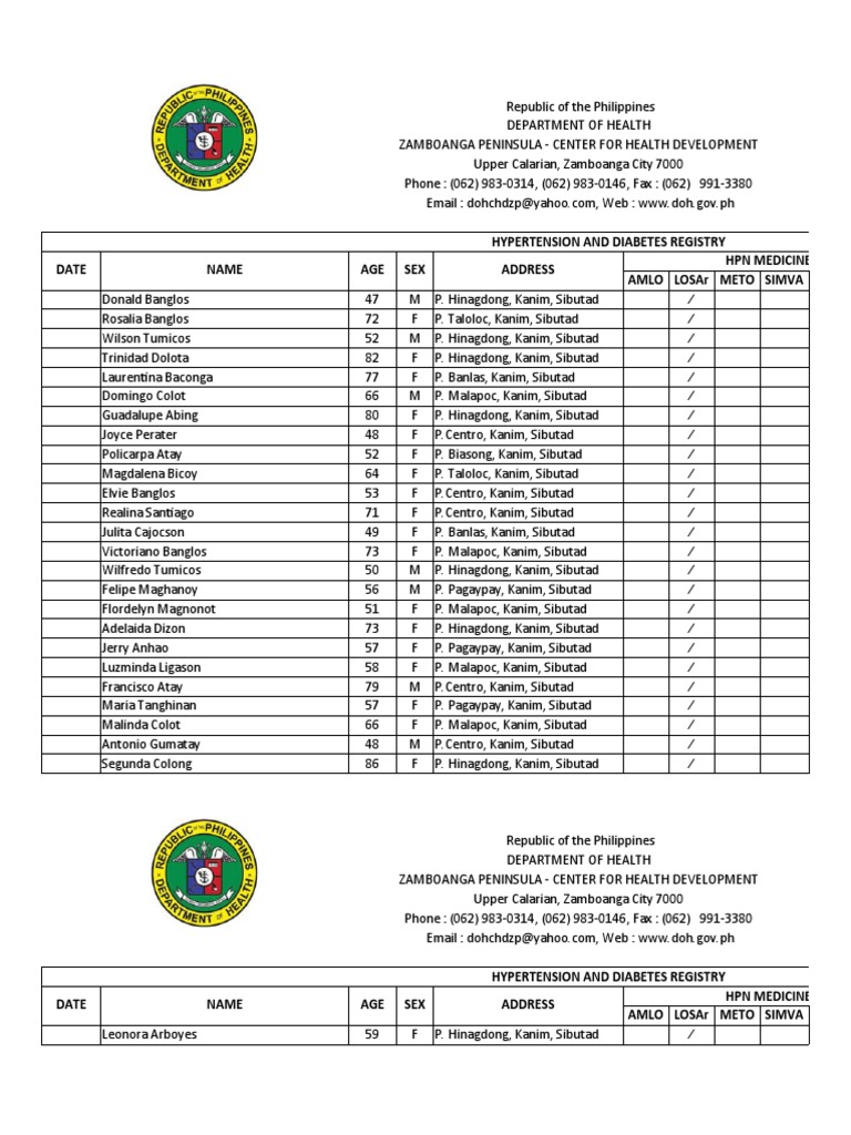 Template For HPN and DM Masterlist | PDF | Circulatory System ...
