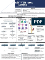 Estrés y Sistema Inmune, Infografía Médica