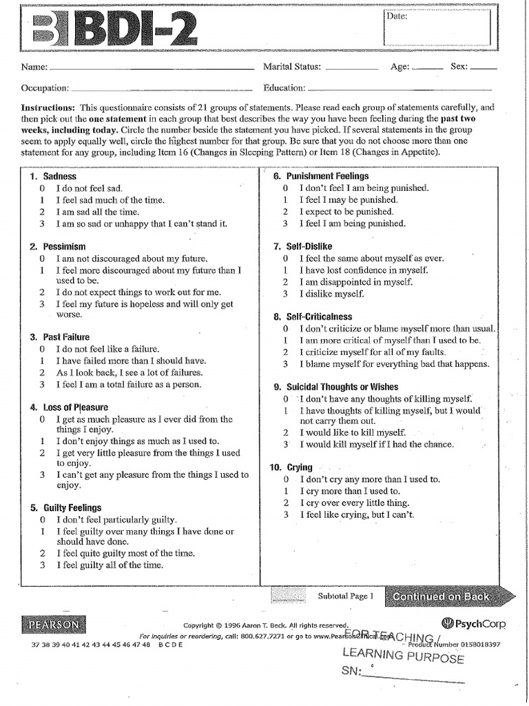 bdi-2-pdf