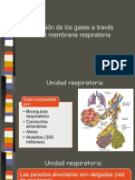 4.difusion de Los Gases Atraves de La Membrana 4