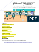 Componentes Bioenergetica Trabajo