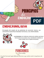 Principios de Endocrinologia