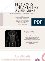 Infecciones urinarias tuberculosas y candidiasis
