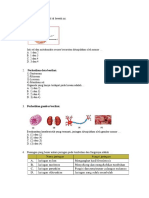 Ipa KLS 7 Sem 2 (PTS 2023)