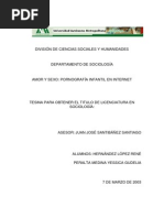 Amor y Sexo Tesis | PDF | Red de área amplia | Internet