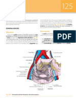 Latarjet - Ruiz Liard Anatomia Humana 5a Edicion T2