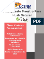 Presupuesto Maestro Hush Natural