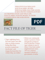 FACT FILE OF TIGER Abhithi Bhumi