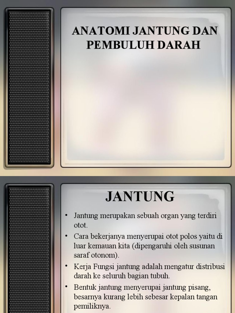 Anatomi Jantung Pdf