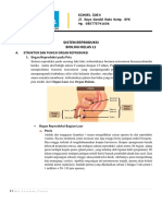 Sistem Reproduksi - Kelas 11 Biologi