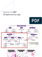 Streptococcus pneumoniae and other streptococci