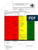 PDF Form Triase