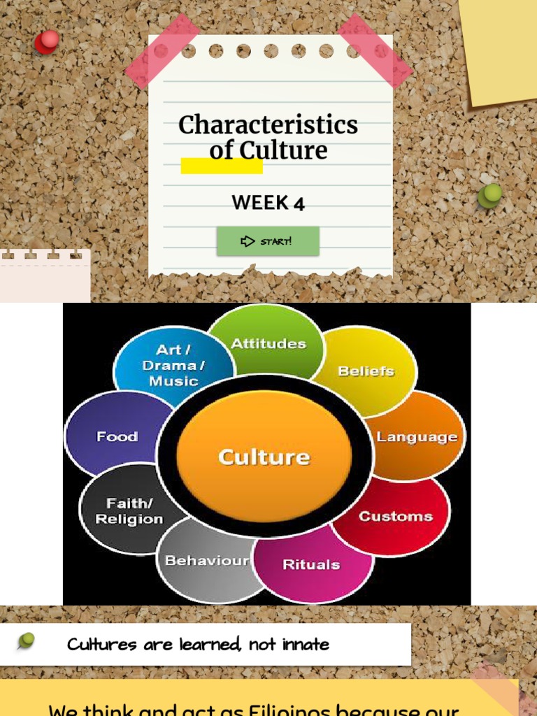 Understanding Cultural Dynamics and Identity | PDF | Multiculturalism ...
