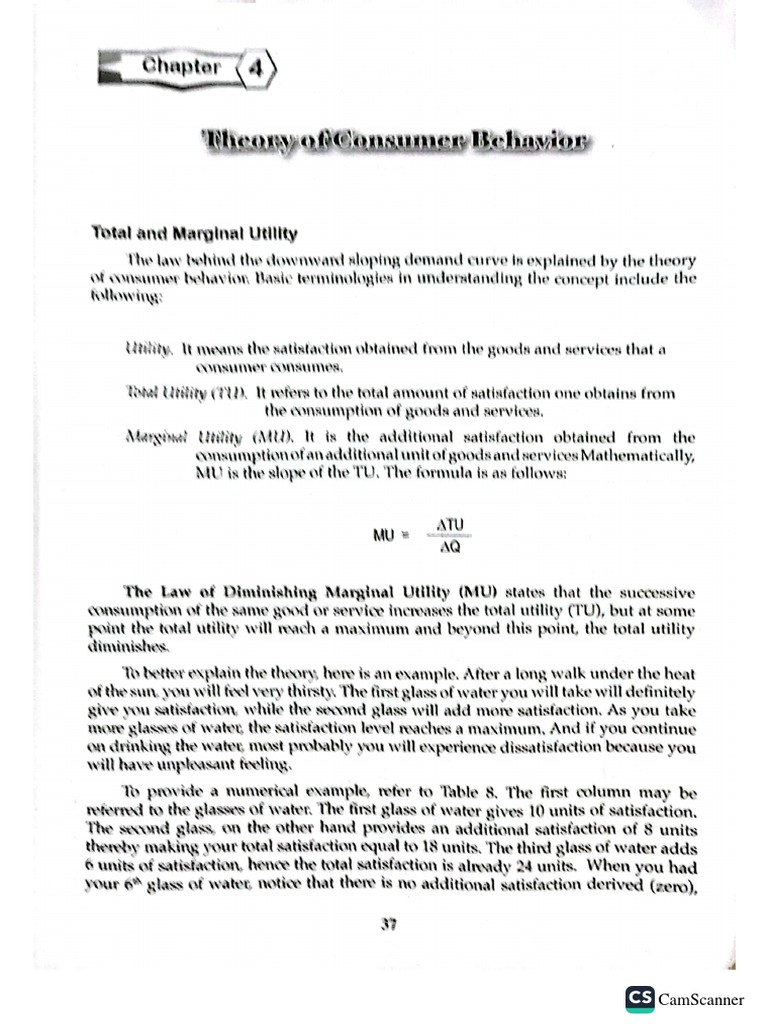 Theory of Consumer Behavior | PDF