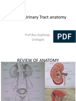 Urinary System Anatomy and Normal Physiology (2H)