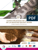 Guide Larves Mouches BSF-final