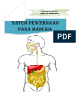 LKPD Sistem Pencernaan Manusia