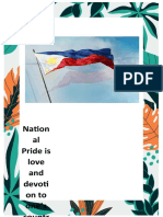 National Pride