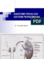Dokumen - Tips Anatomi Fisiologi Sistem Perkemihanppt
