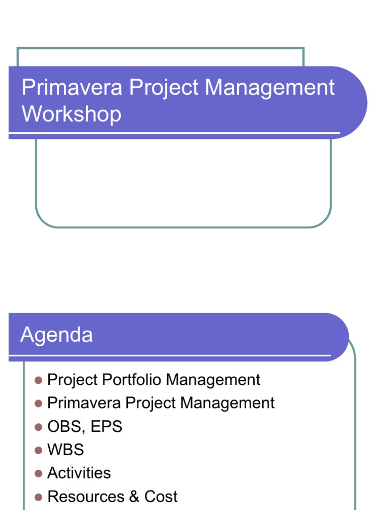 Primavera P6 Templates0 | PDF