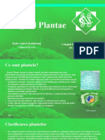 Regnul Plantae