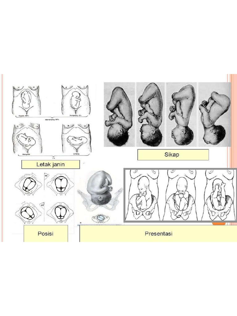 busted mugshots comprehensive guide austin - Ilustrasi 2