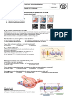 Transporte de Membrana Celular. Taller