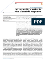 The NFIB/CARM1 Partnership Is A Driver in Preclinical Models of Small Cell Lung Cancer