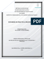 Informe de Practica Profesional de Ada Isabel Nuñez