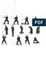 Bujinkan Kenjutsu Kamae (Sword Postures)