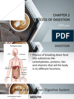 Chapter 2 - Process of Digestion
