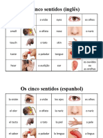 Os 5 Sentidos - Ing Esp Rus Ucr