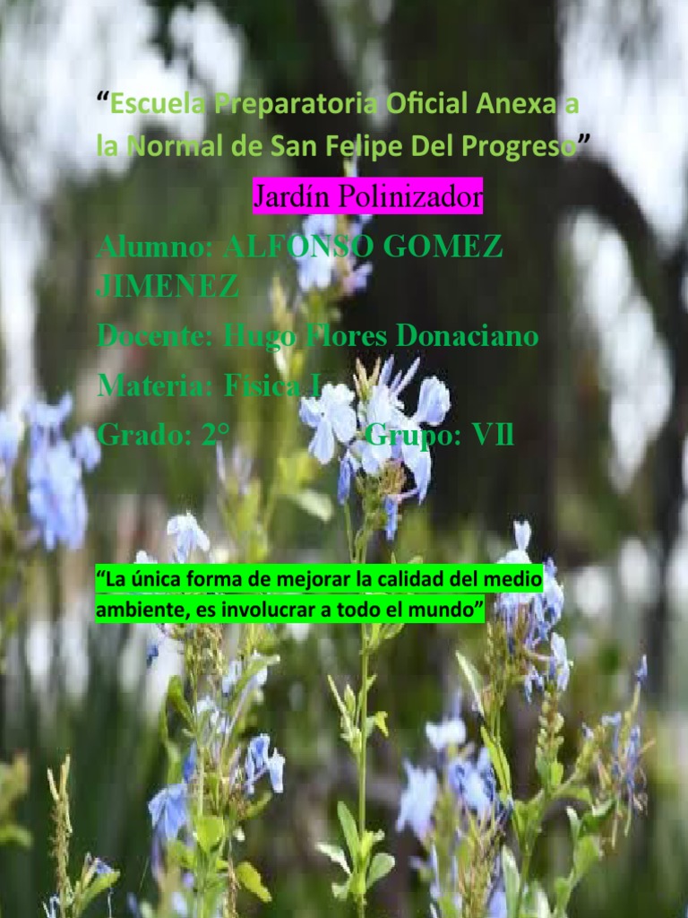 Alfonso Gomez Jimenez Jardin Polinizador PDF Polinización Abejas