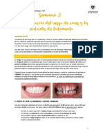 Seminario. La Identificación Del Riesgo de Caries y Los Protocolos de Tratamiento (2022 - 11 - 29 15 - 05 - 03 UTC)