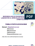 Staphylo-Streptococcaceae-76504