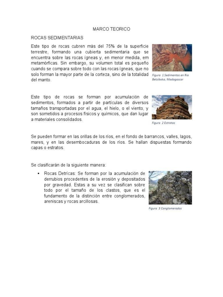 Rocas Sedimentarias | PDF | Roca (geología) | Roca sedimentaria