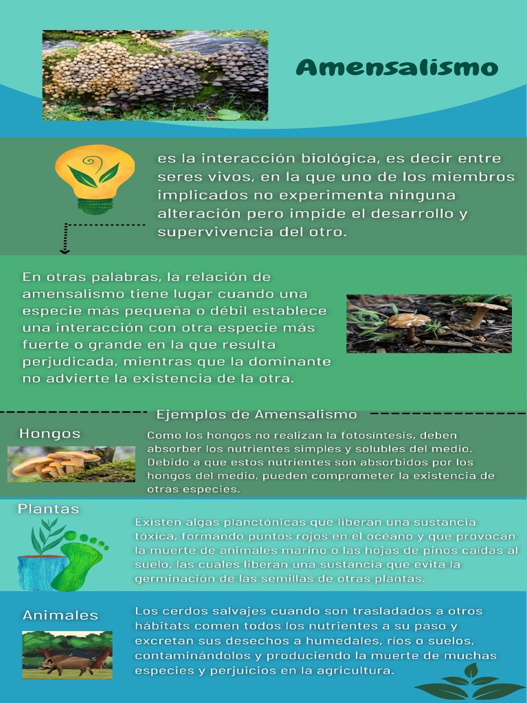 Amensalismo | PDF