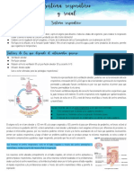 Obste 3 Respiratorio y Renal