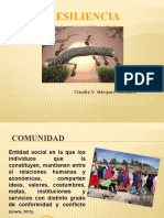 Resiliencia Comunitaria